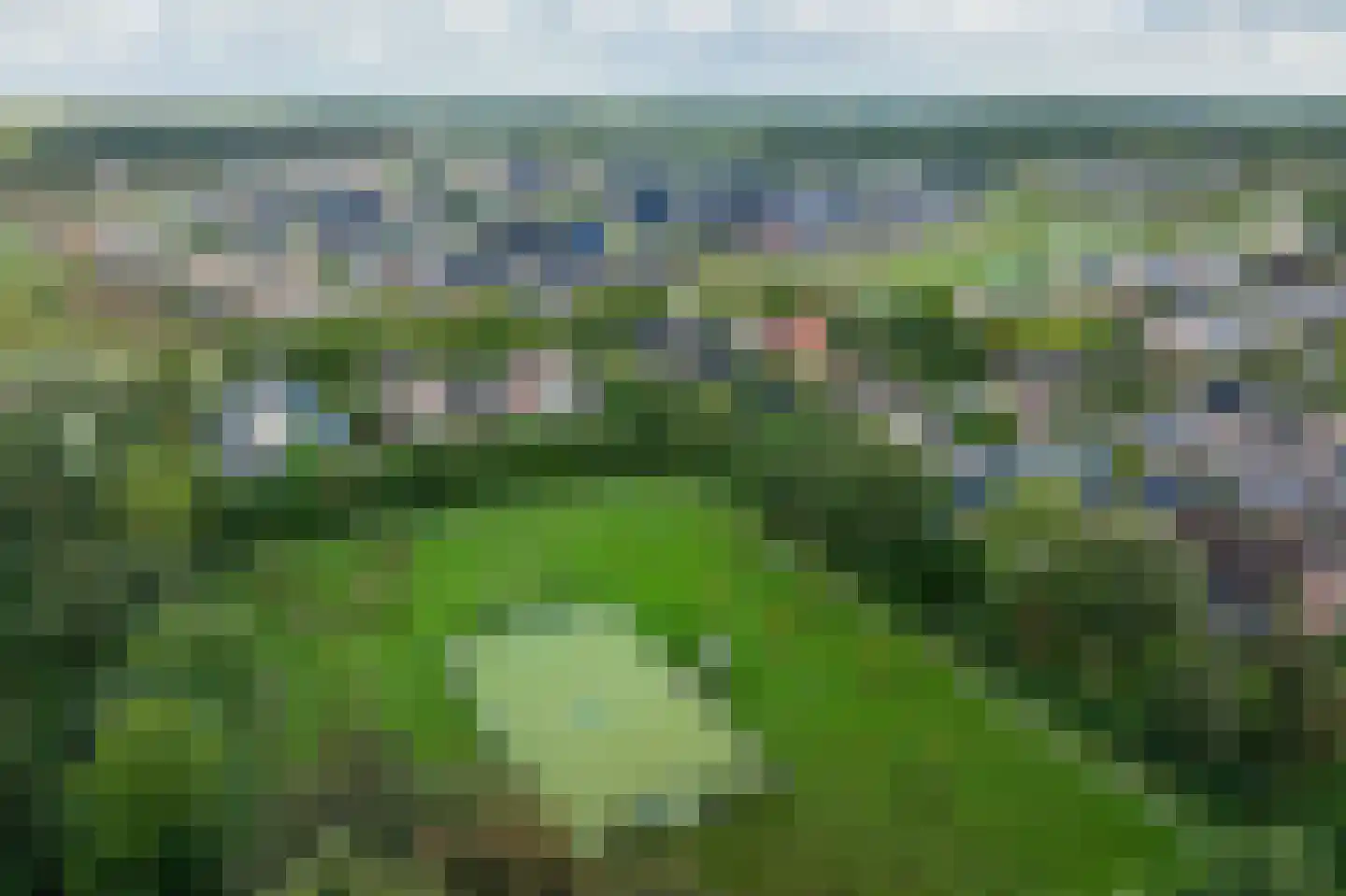 Trechterbeker 65 Borger thumbnail 58