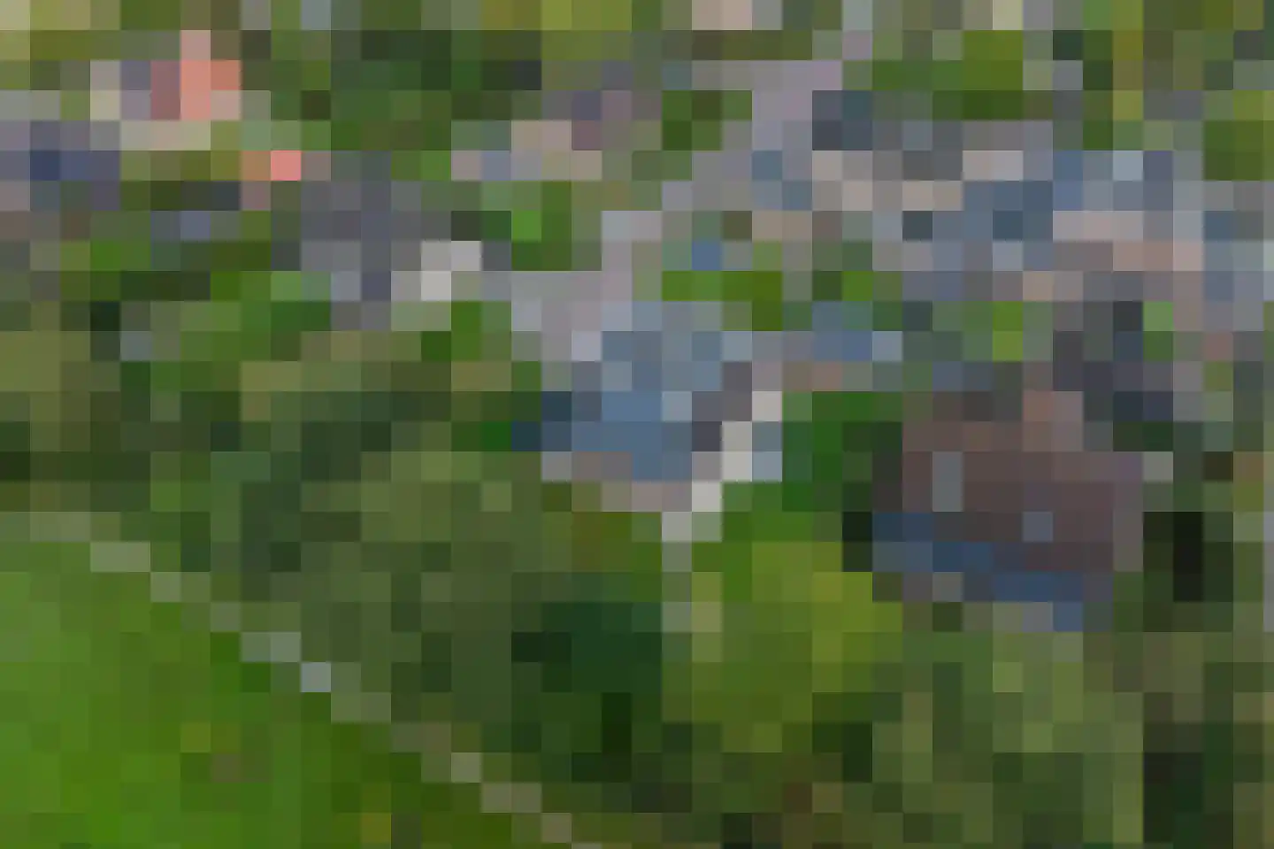 Trechterbeker 65 Borger thumbnail 59