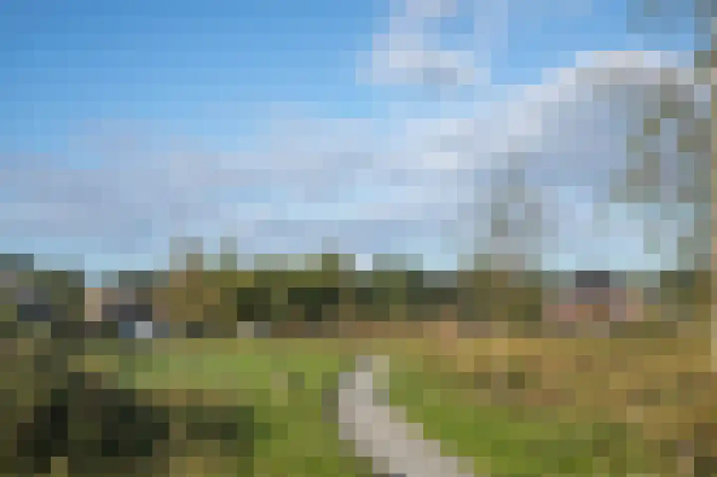 Trechterbeker 65 Borger thumbnail 6