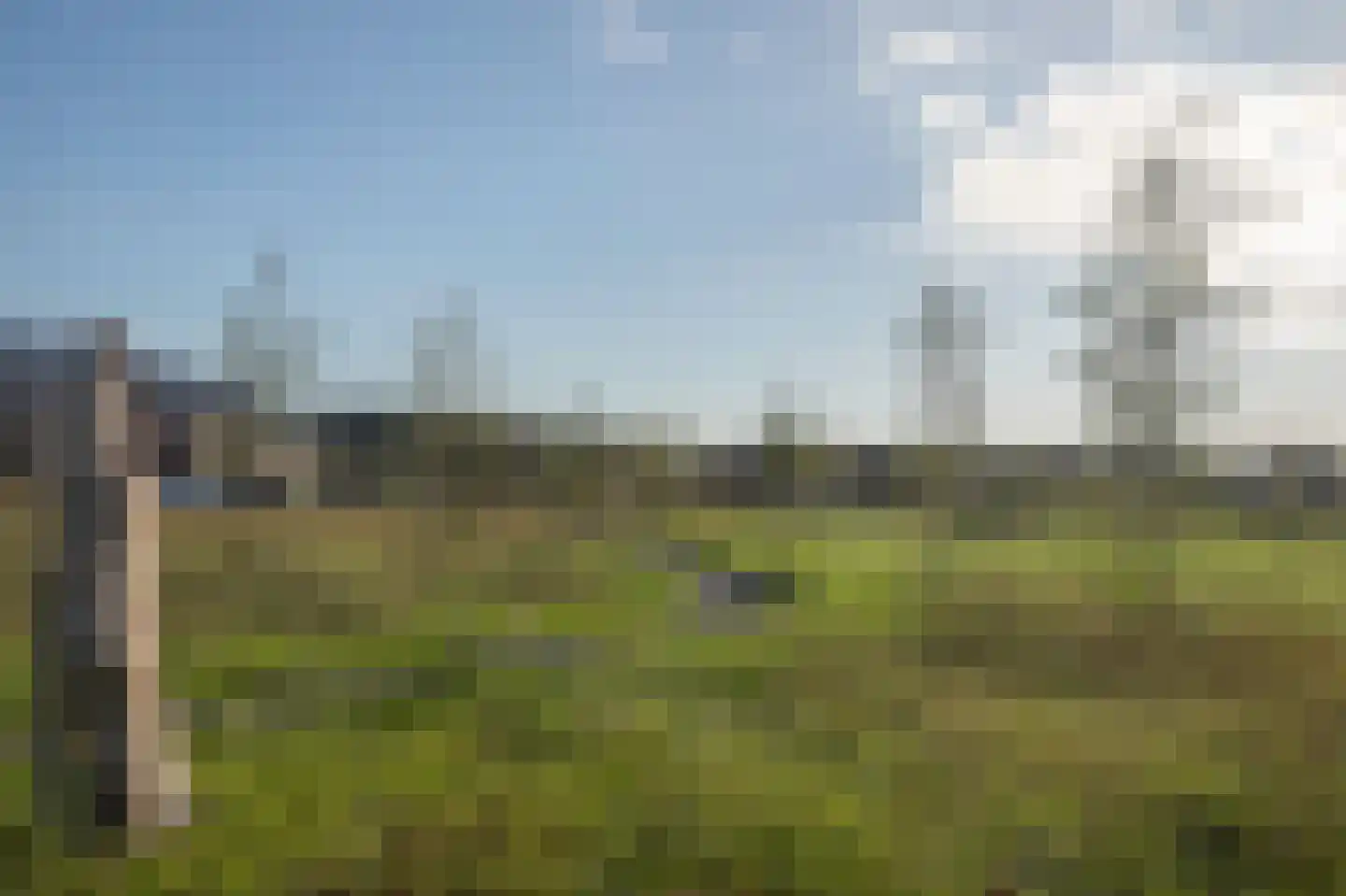 Trechterbeker 65 Borger thumbnail 7