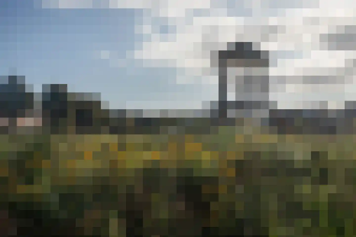 Trechterbeker 65 Borger thumbnail 9