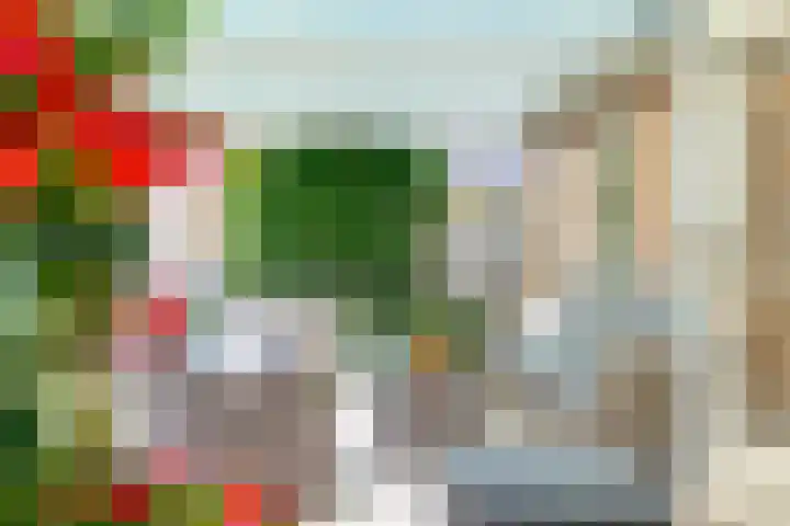 Trechterbeker 7 Borger thumbnail 24
