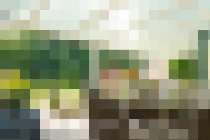 Trechterbeker 7 Borger thumbnail 26