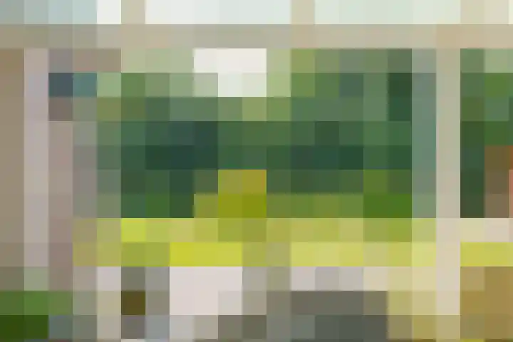 Trechterbeker 7 Borger thumbnail 27