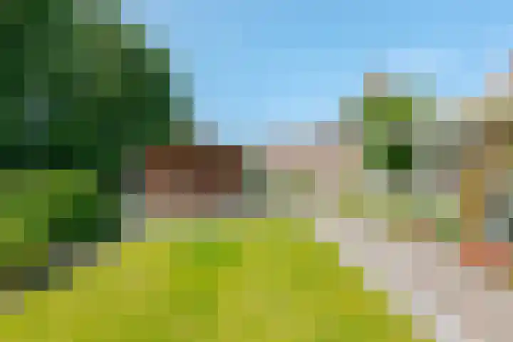 Trechterbeker 7 Borger thumbnail 29