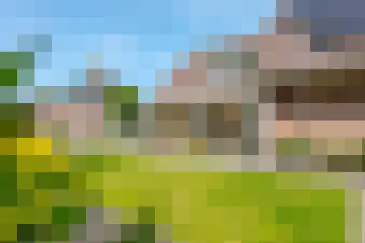 Trechterbeker 7 Borger foto 3