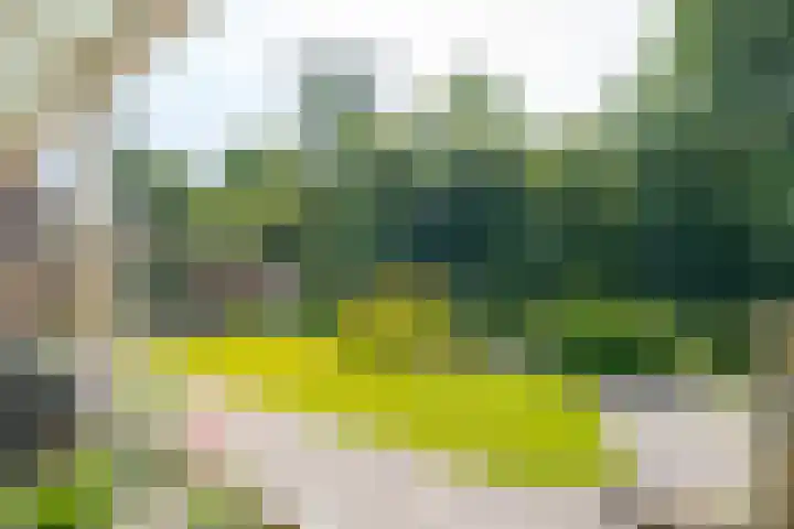 Trechterbeker 7 Borger thumbnail 30