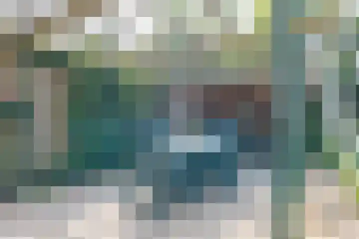Trechterbeker 7 Borger thumbnail 32