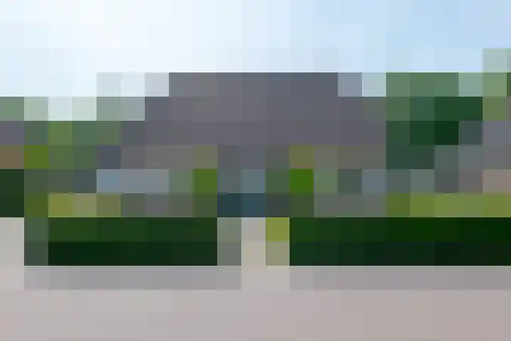 Trechterbeker 7 Borger thumbnail 7