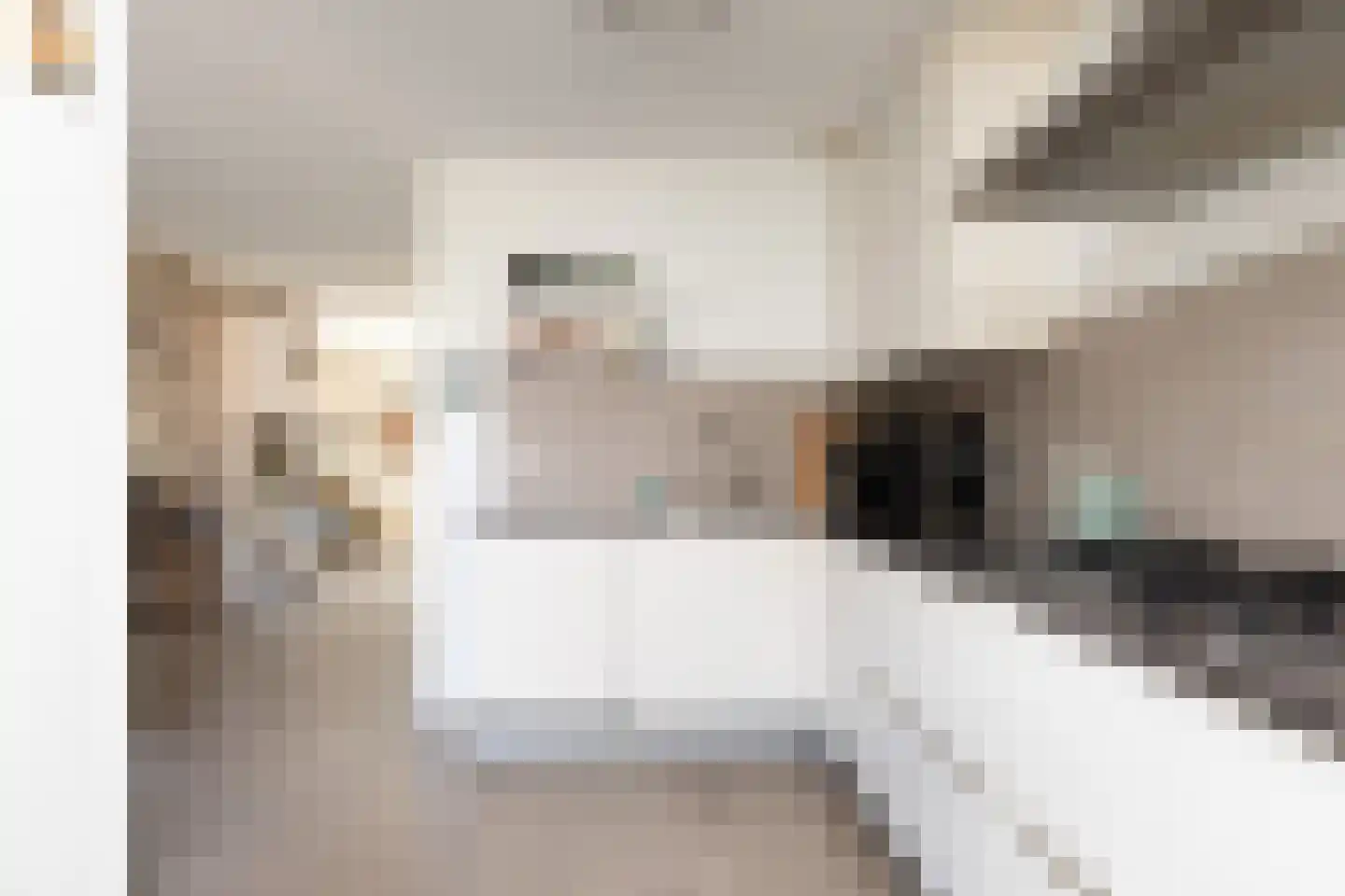 Trêd 101 Sneek thumbnail 10