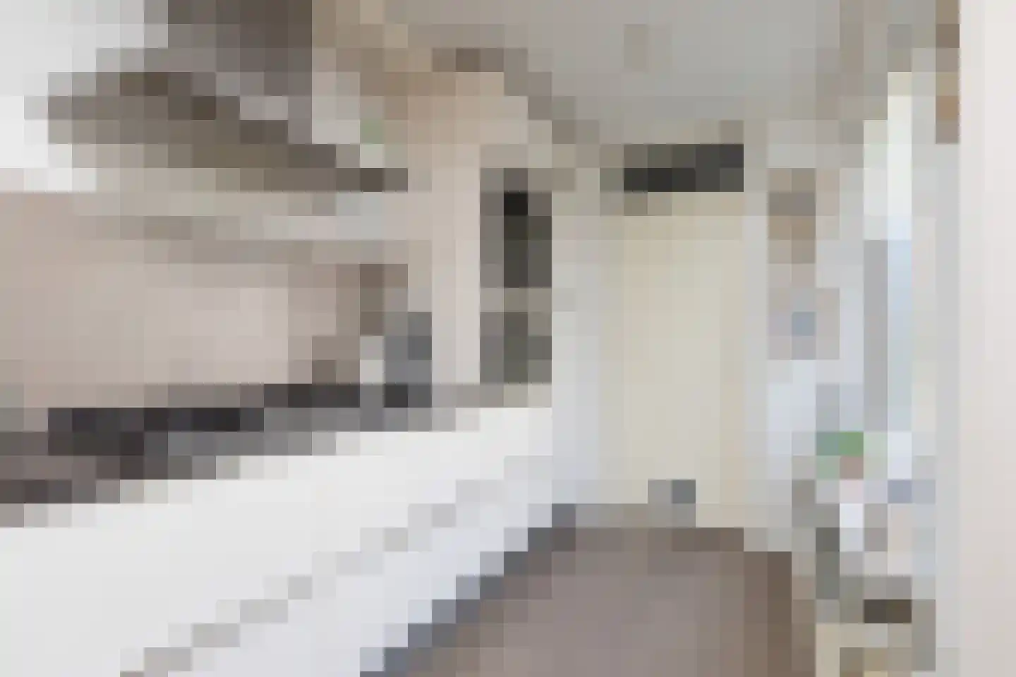 Trêd 101 Sneek thumbnail 11