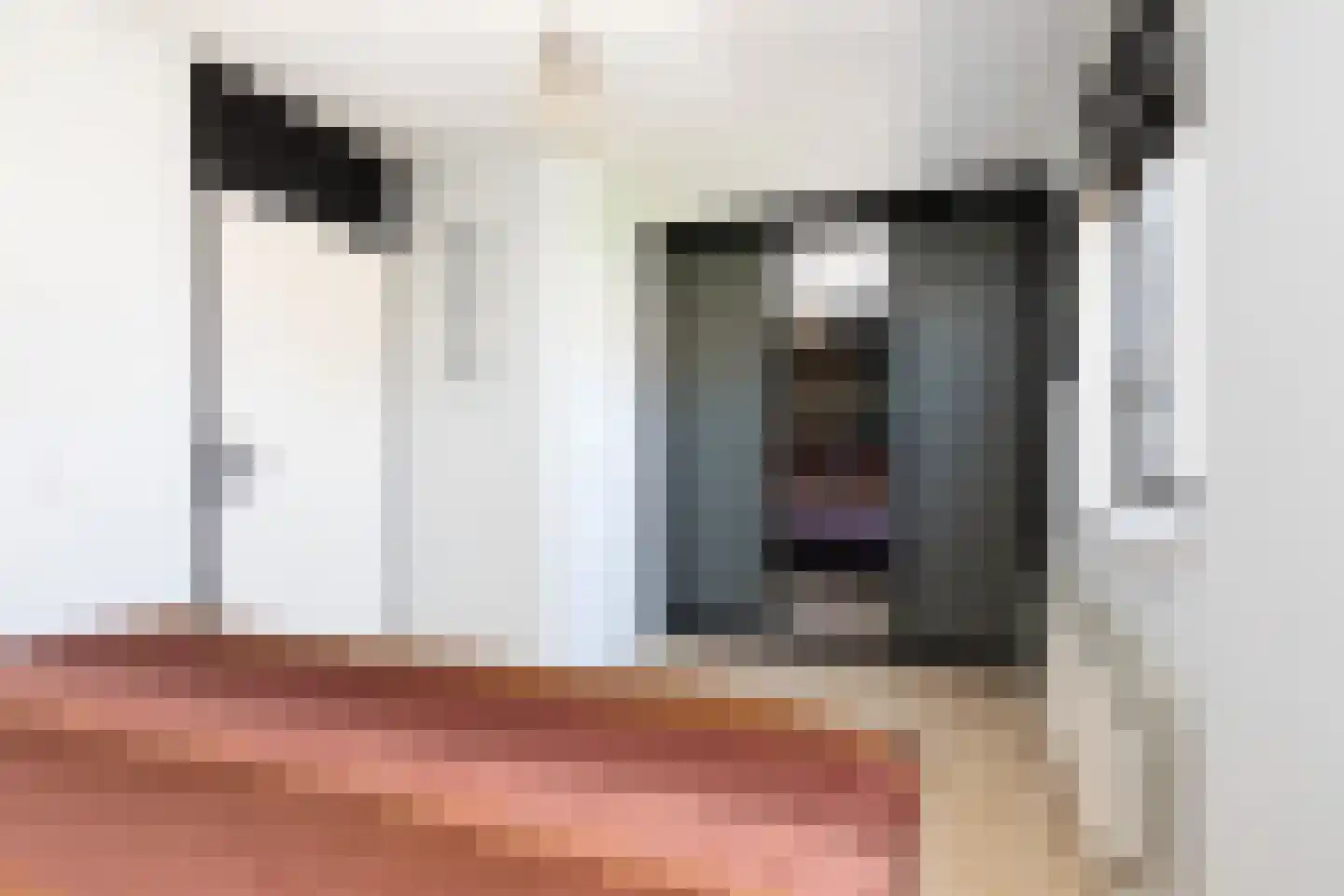 Trêd 101 Sneek thumbnail 26