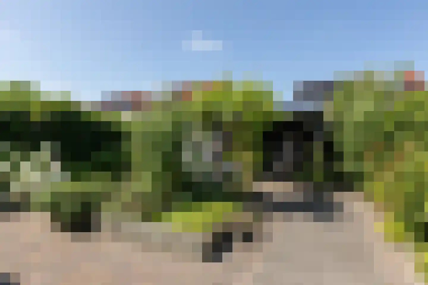 Trêd 101 Sneek thumbnail 31