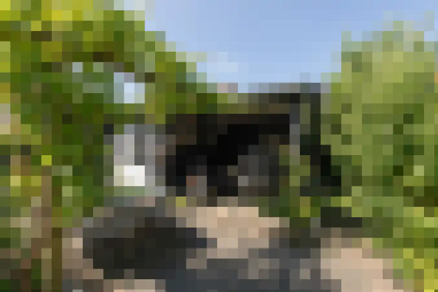 Trêd 101 Sneek thumbnail 32