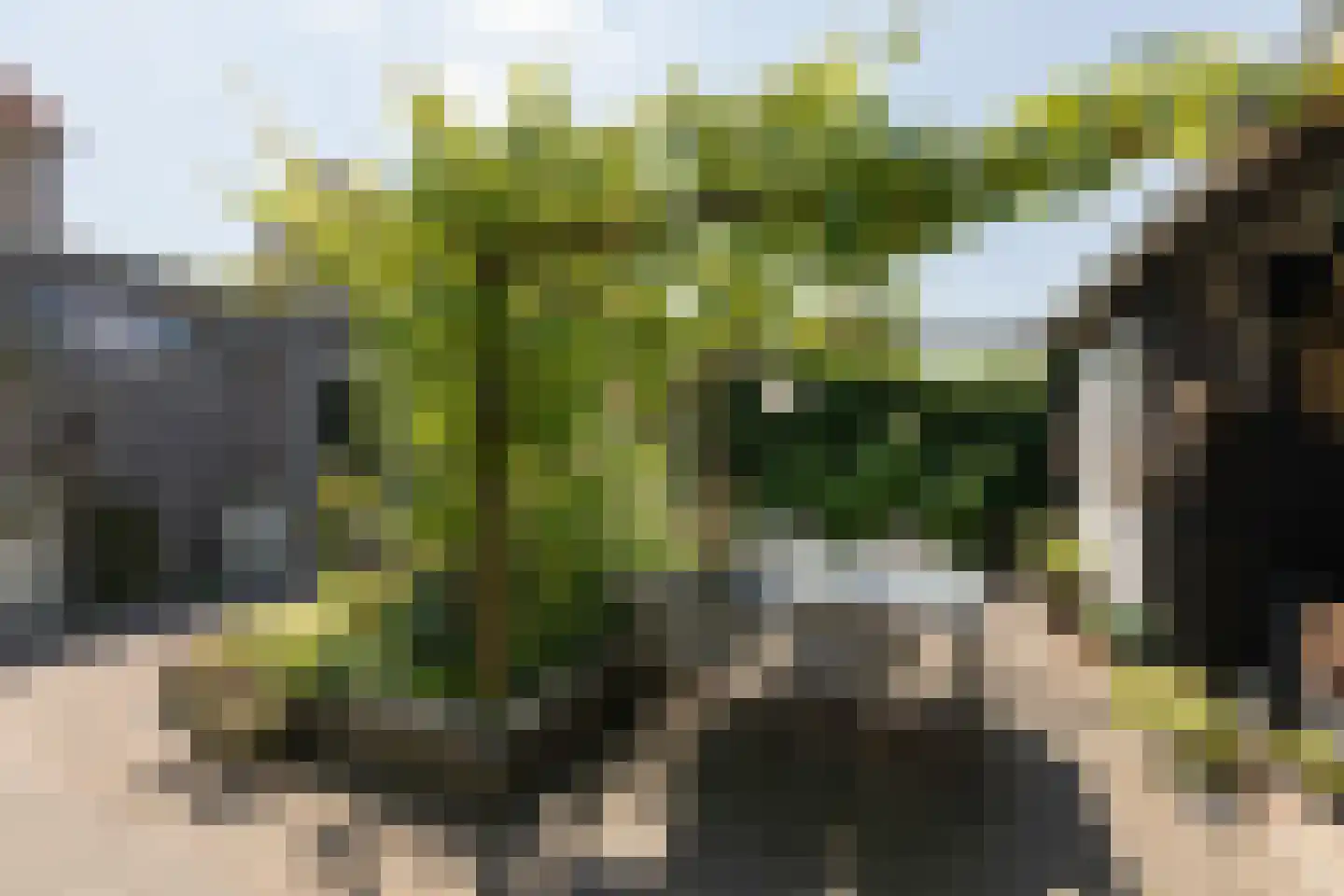 Trêd 101 Sneek thumbnail 33