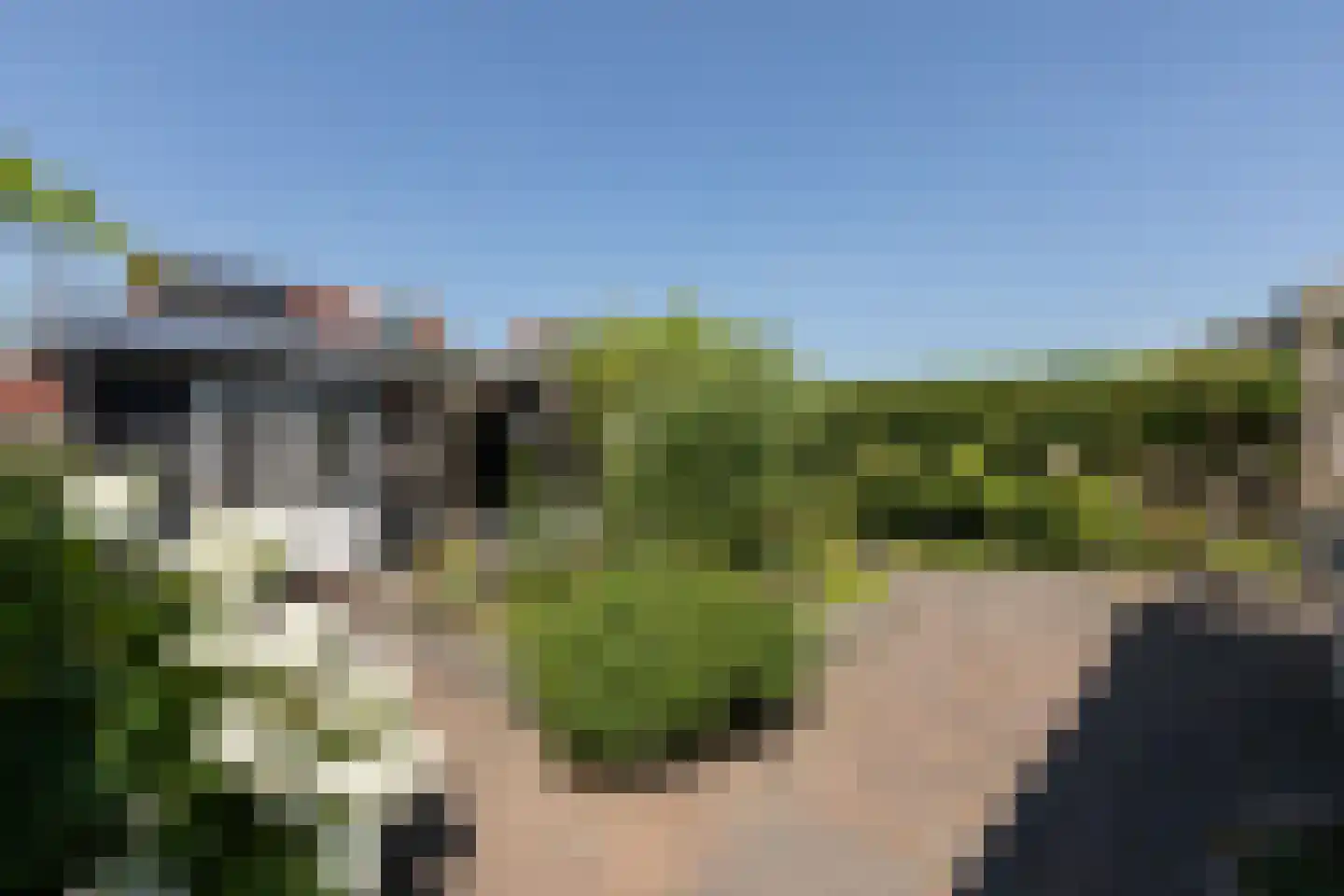Trêd 101 Sneek thumbnail 34