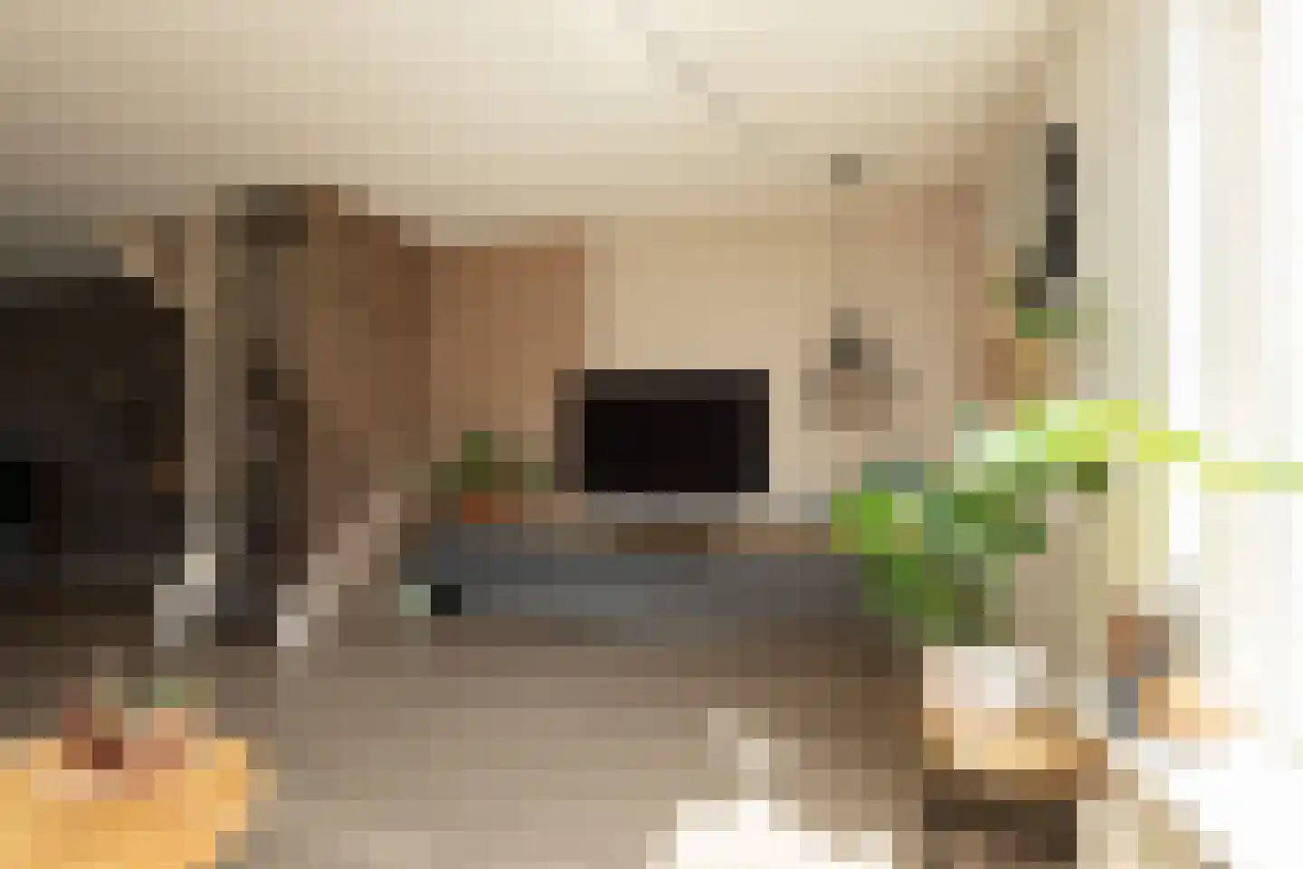 Trêd 101 Sneek thumbnail 5