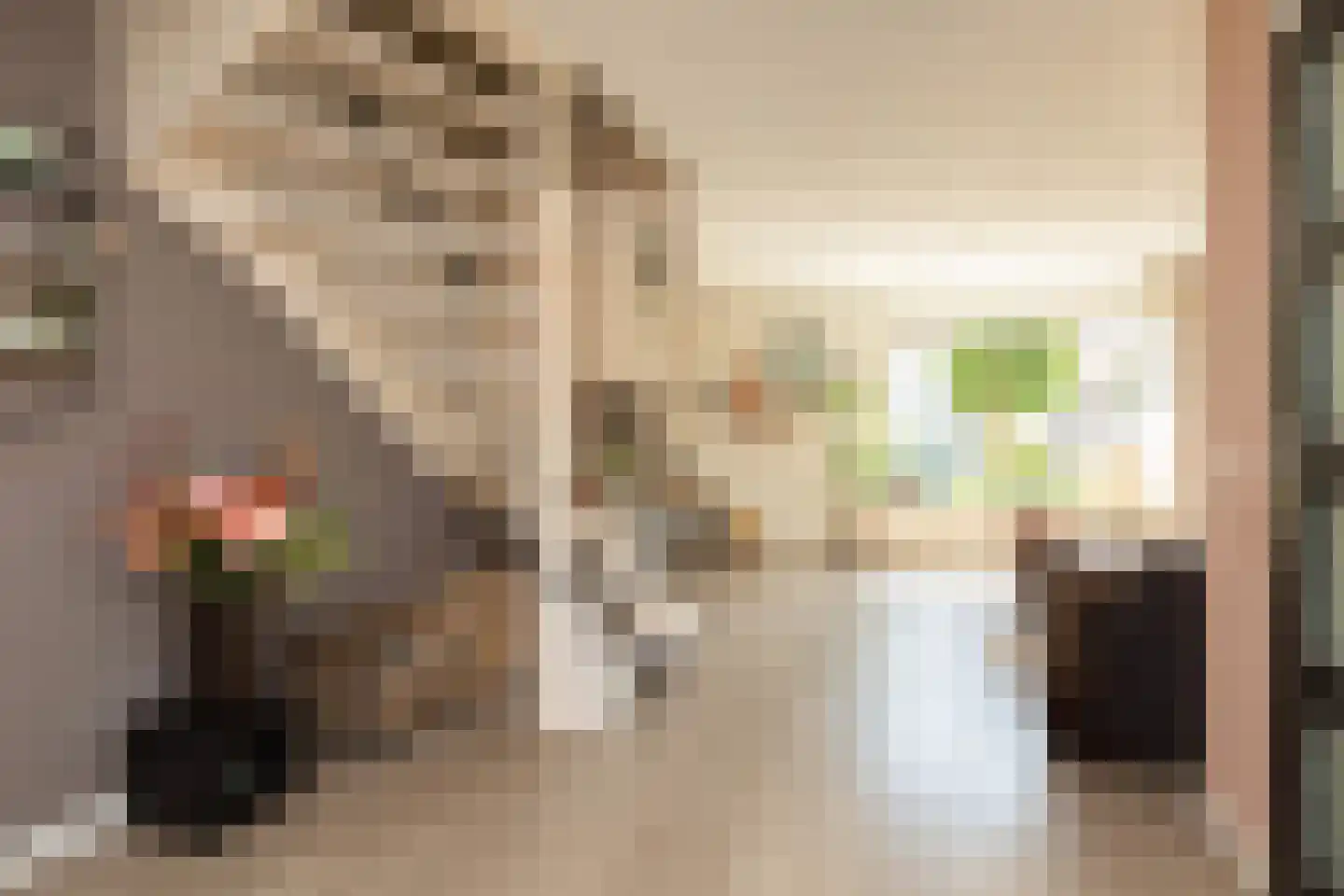Trêd 101 Sneek thumbnail 7