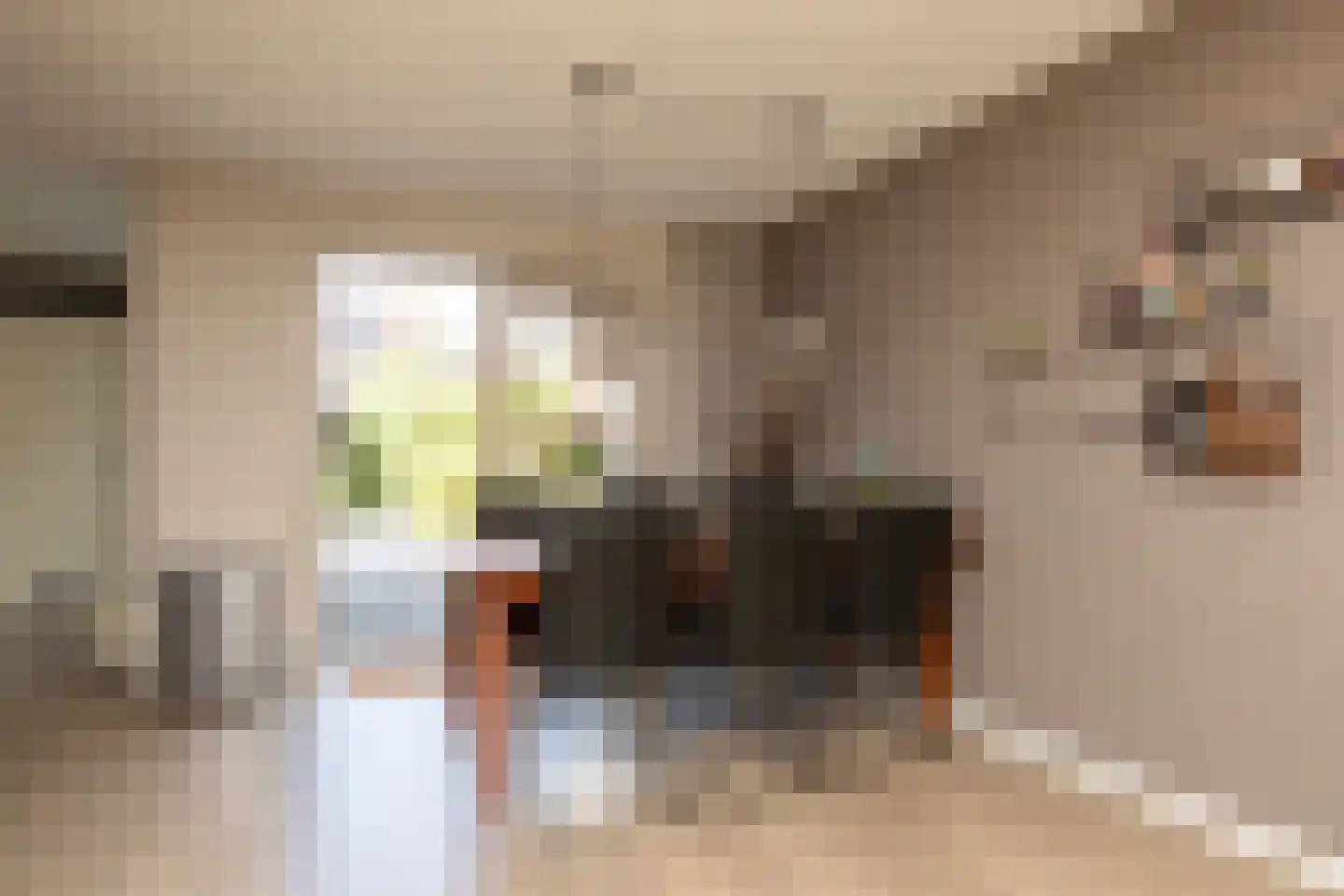 Trêd 101 Sneek thumbnail 8