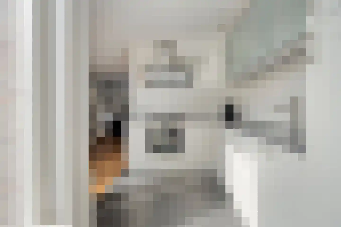 Trêd 77 Sneek thumbnail 17