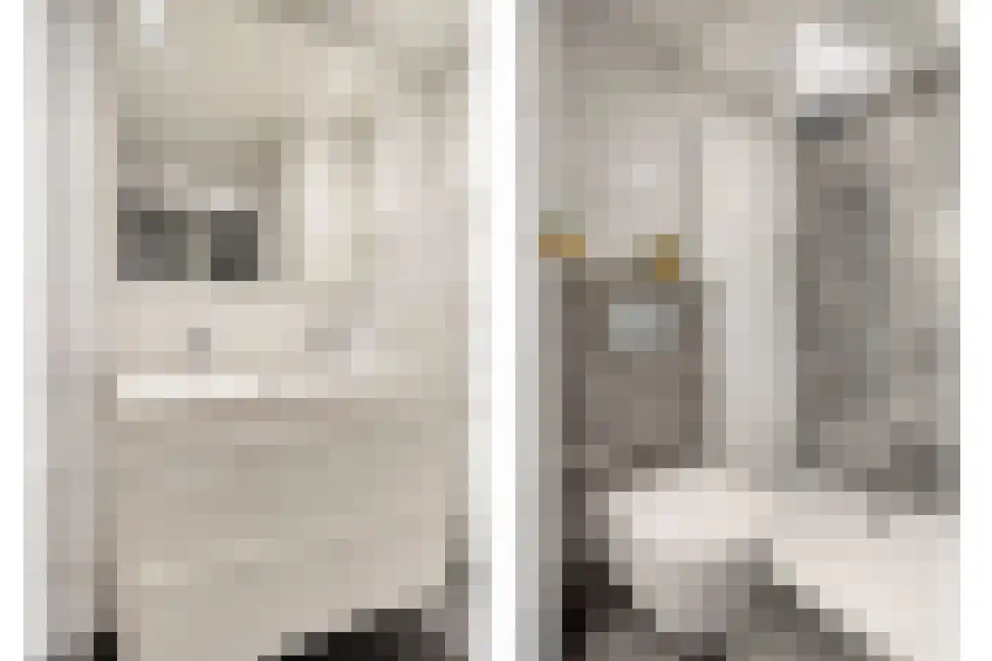 Trêd 77 Sneek thumbnail 23