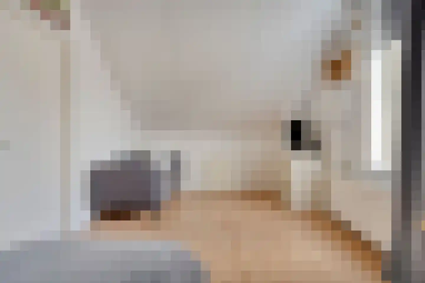 Trêd 77 Sneek thumbnail 28