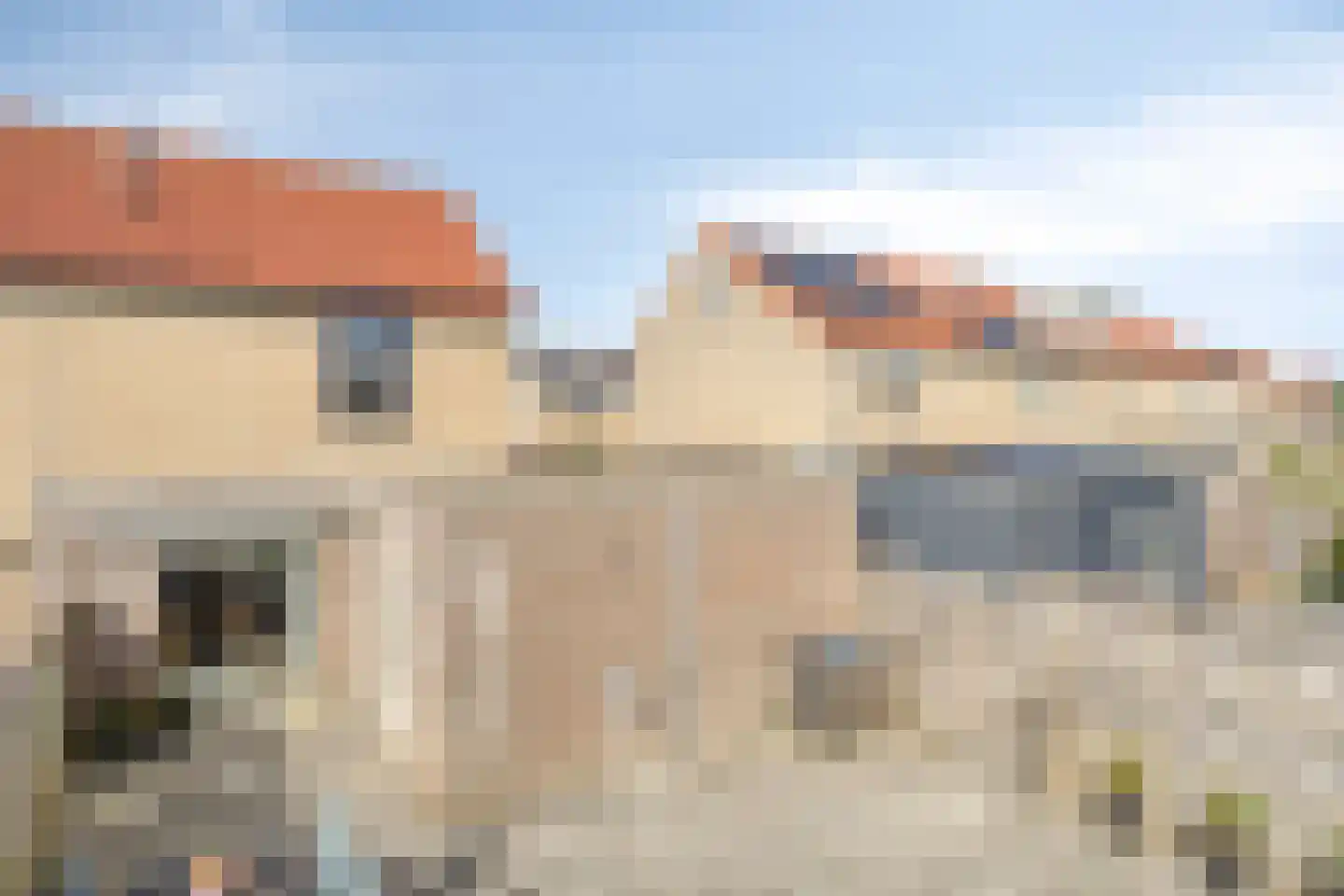 Trêd 77 Sneek thumbnail 32