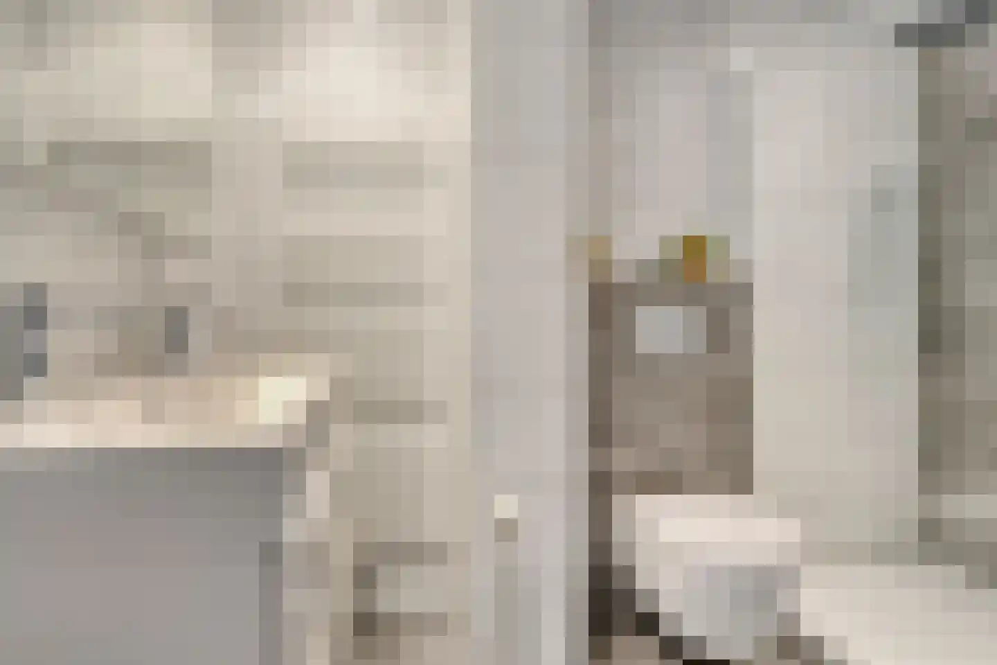 Trêd 77 Sneek thumbnail 5