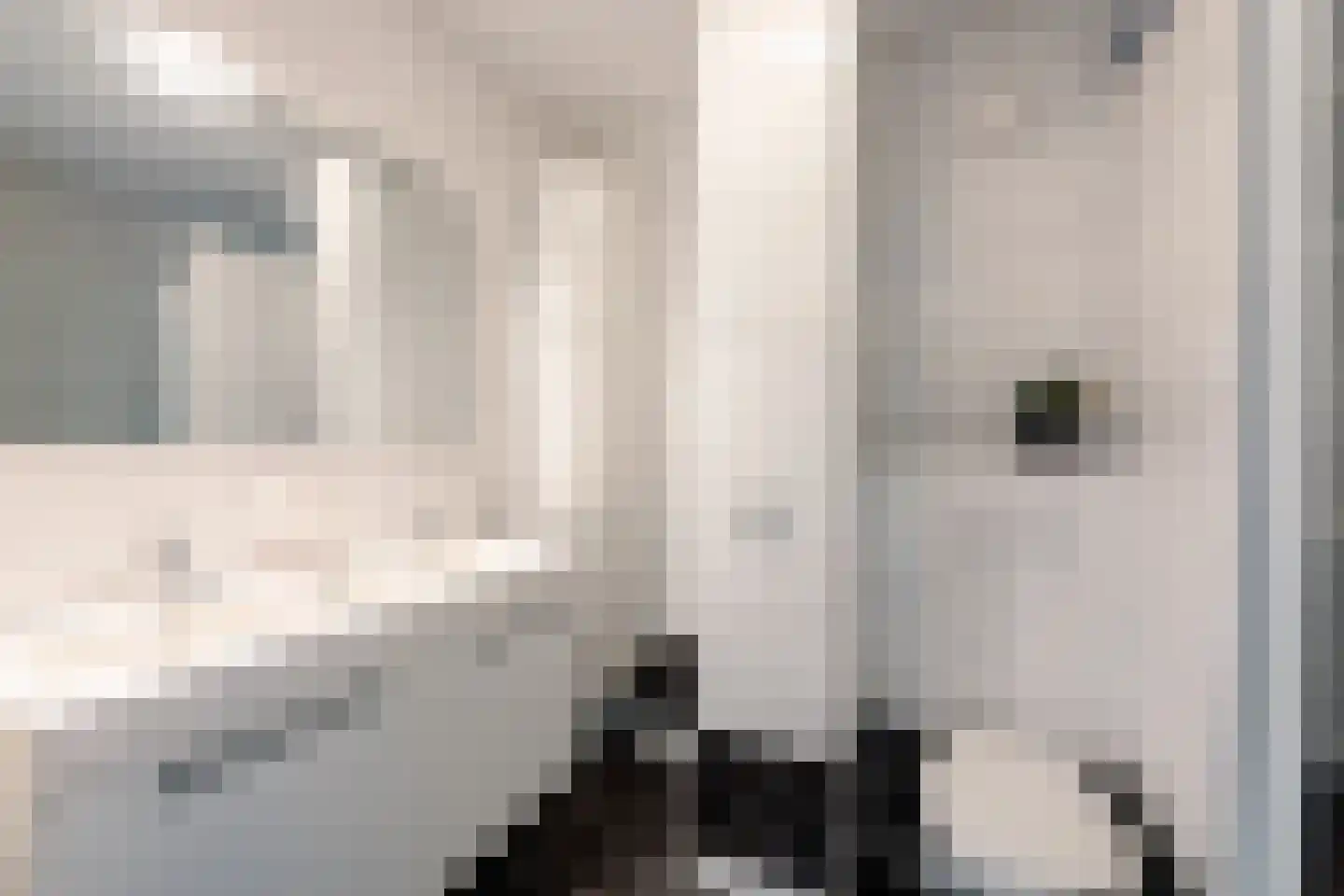 Trêd 93 Sneek thumbnail 19