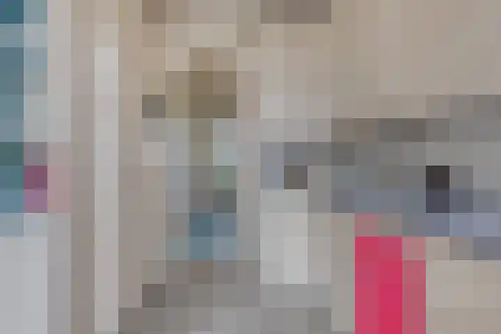 Treebeekstraat 111 Brunssum thumbnail 16