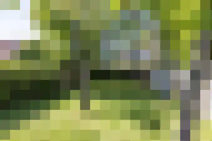 Treebeekstraat 111 Brunssum thumbnail 32