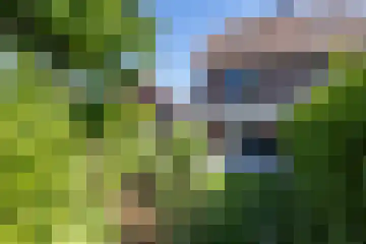 Treebeekstraat 111 Brunssum thumbnail 33