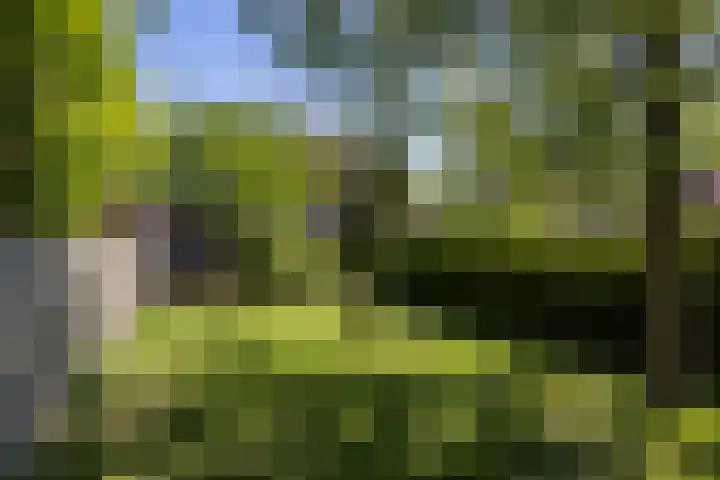 Treebeekstraat 111 Brunssum thumbnail 34