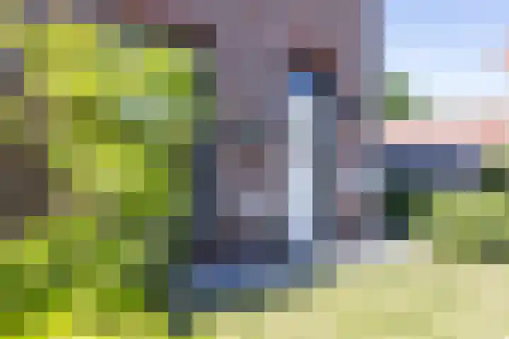 Treebeekstraat 111 Brunssum thumbnail 39