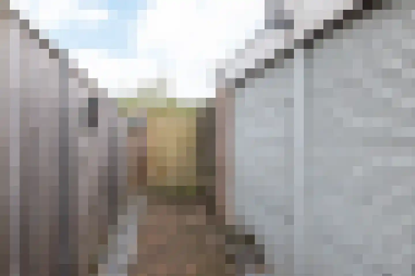 Treebeekstraat 166 Brunssum thumbnail 31