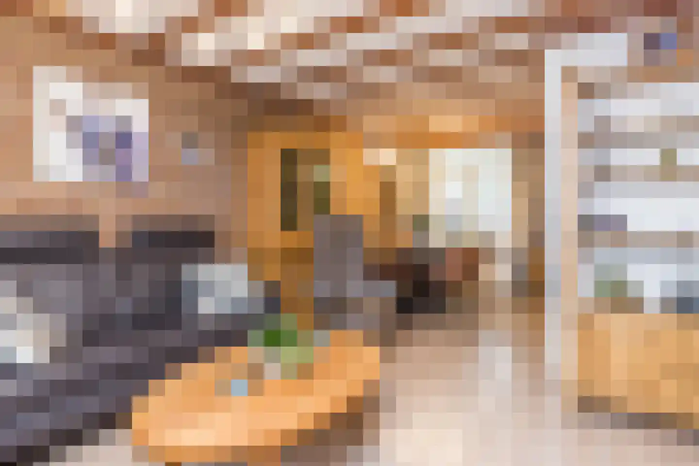 Treebeekstraat 166 Brunssum thumbnail 6
