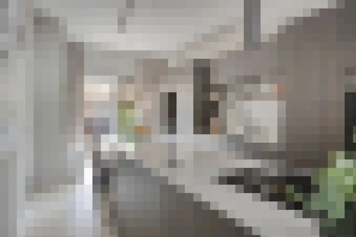 Treebeekstraat 20 Brunssum thumbnail 14