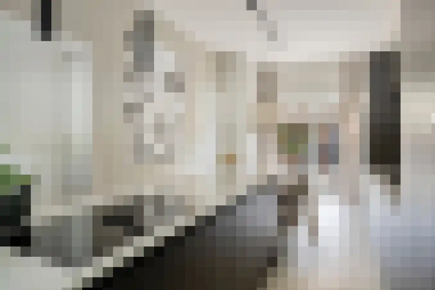 Treebeekstraat 20 Brunssum thumbnail 16