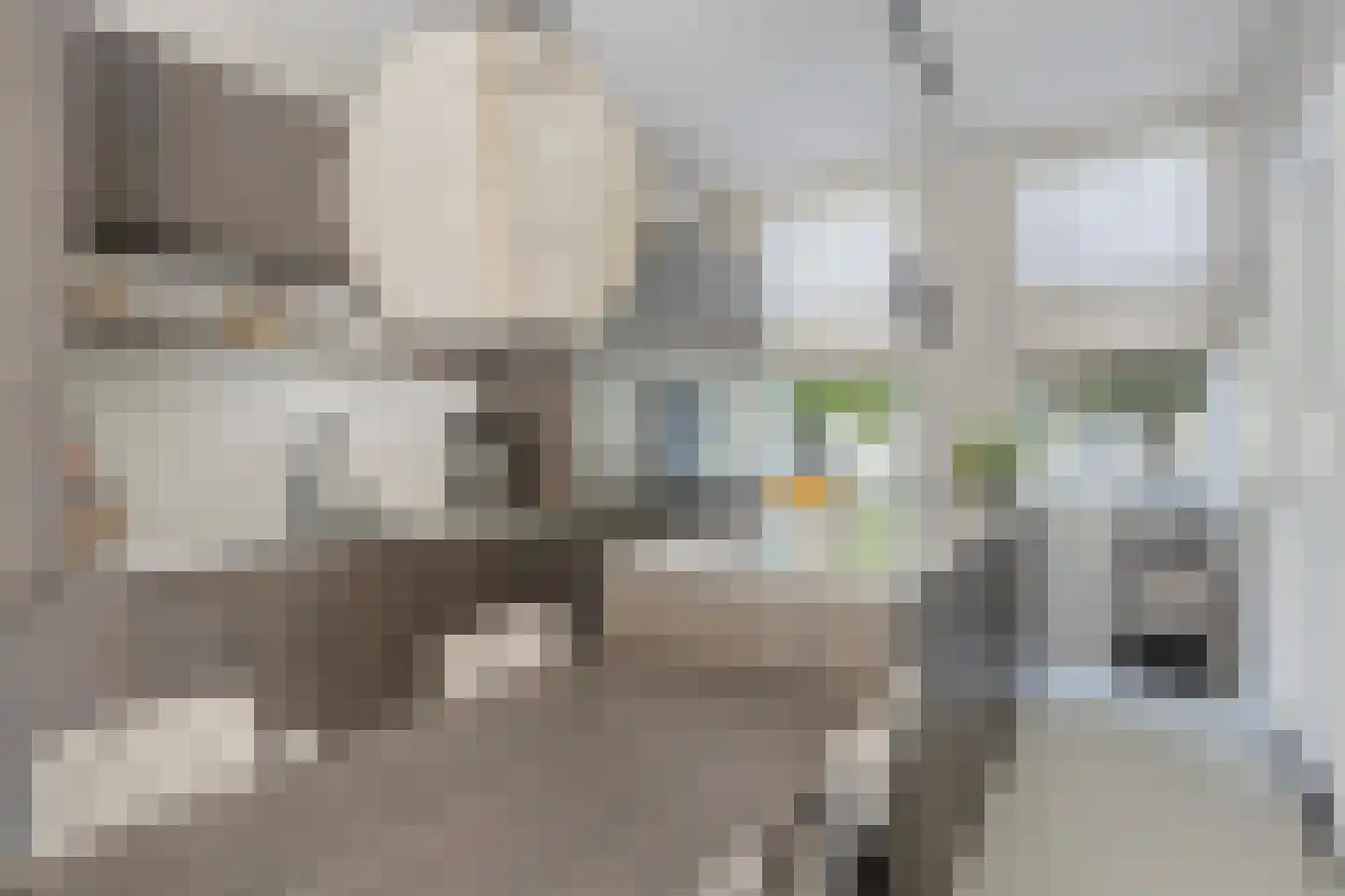 Treebeekstraat 20 Brunssum thumbnail 4