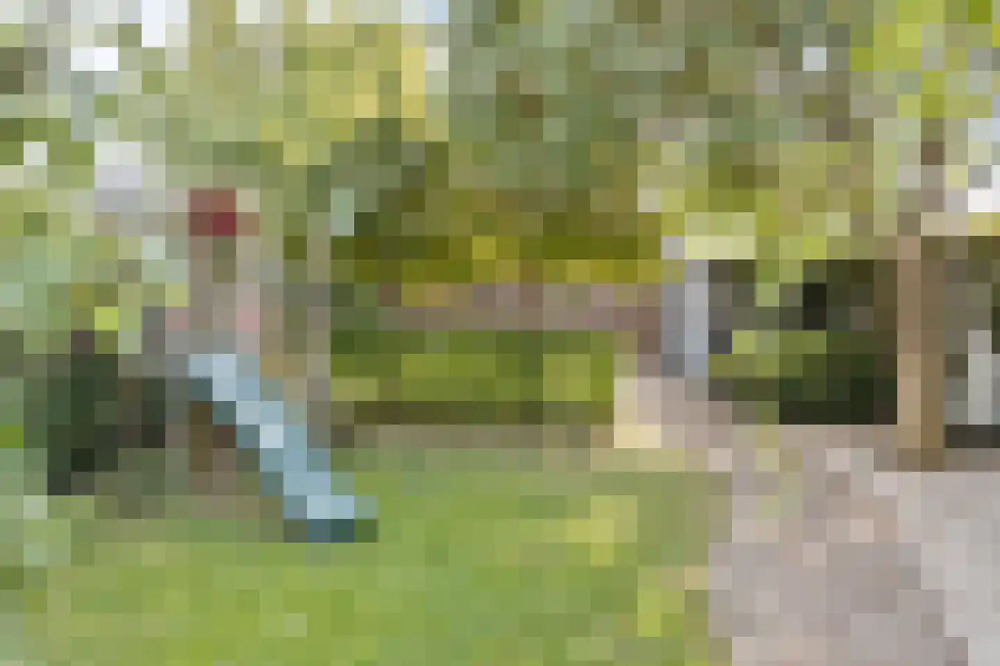 Treebeekstraat 20 Brunssum thumbnail 40