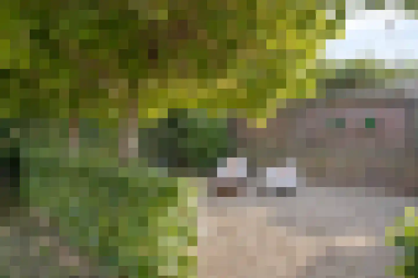 Treebeekstraat 20 Brunssum thumbnail 41