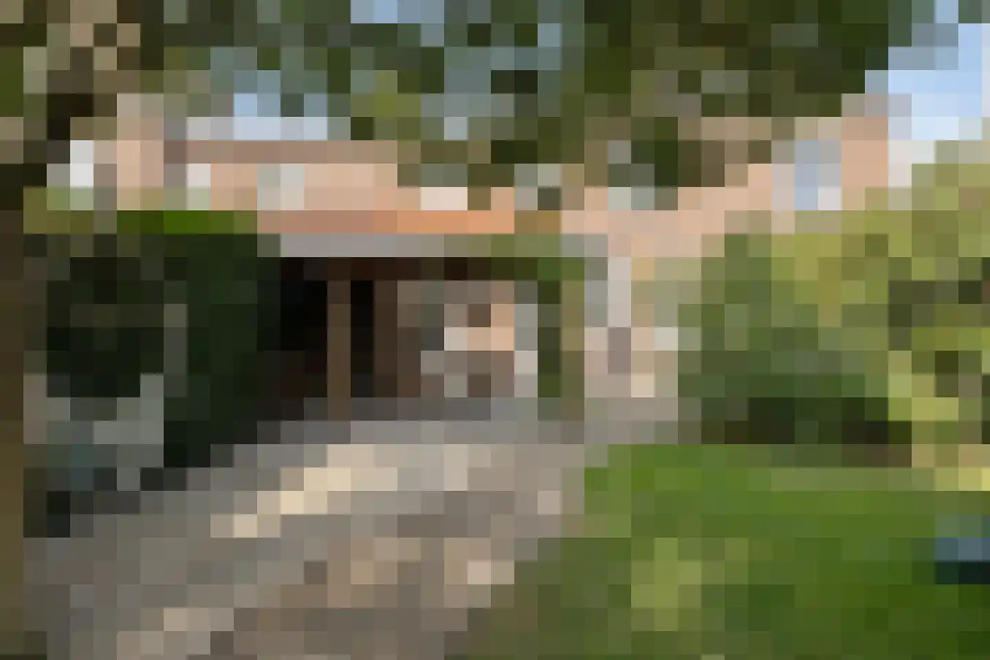 Treebeekstraat 20 Brunssum thumbnail 42