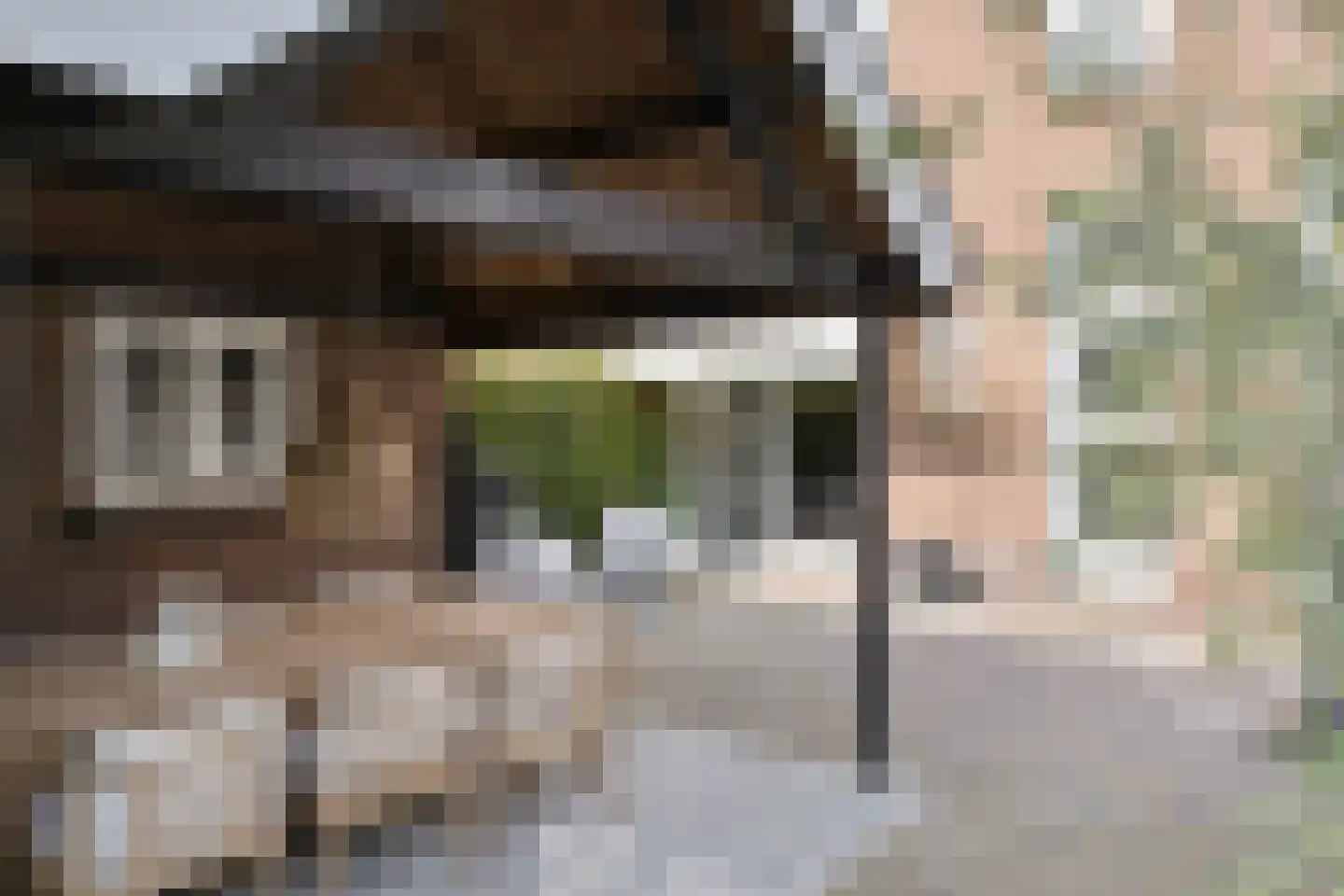 Treebeekstraat 20 Brunssum thumbnail 43