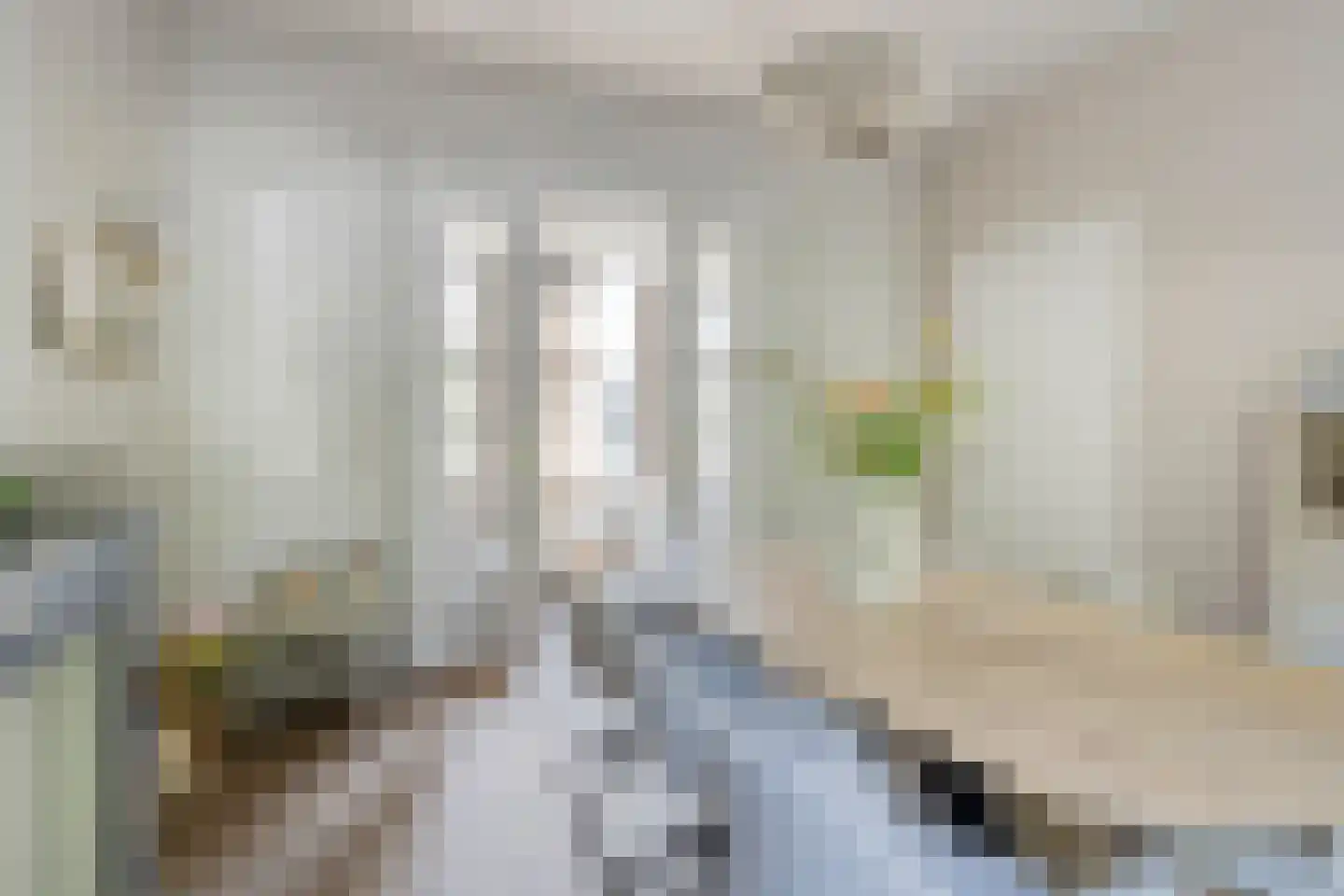 Treebeekstraat 20 Brunssum thumbnail 6