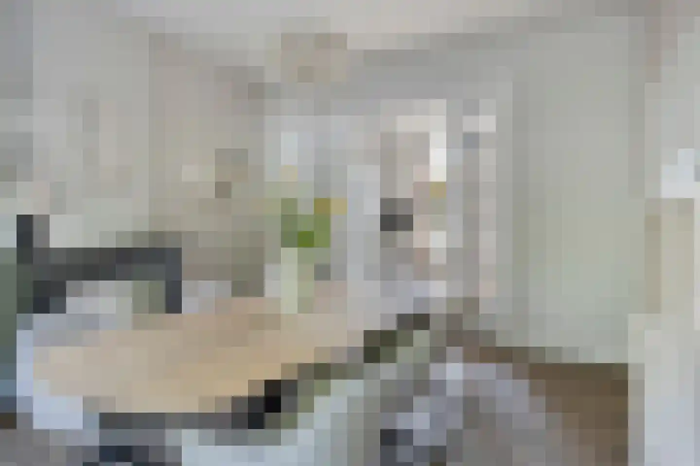 Treebeekstraat 20 Brunssum thumbnail 7