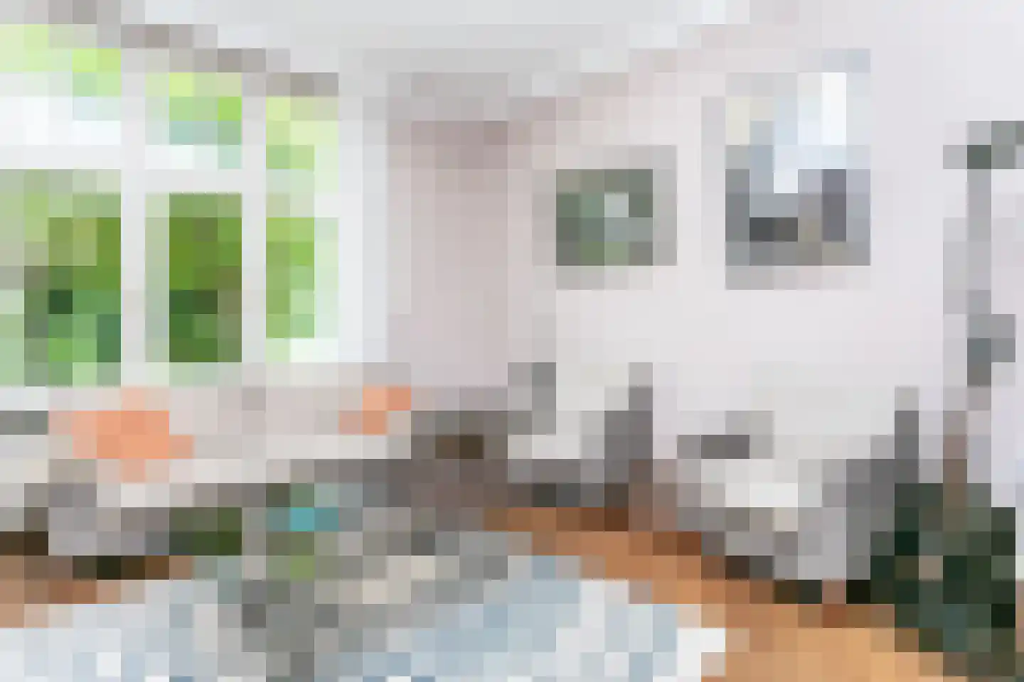 Treebeekstraat 24 Brunssum thumbnail 10