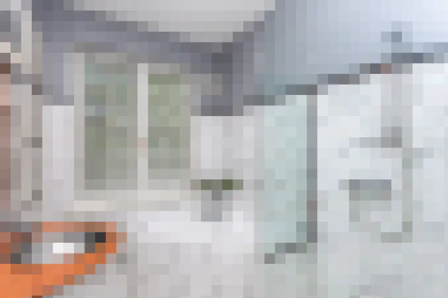 Treebeekstraat 24 Brunssum thumbnail 25