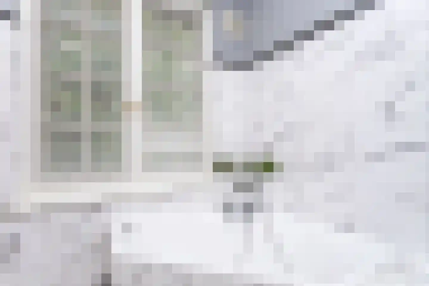 Treebeekstraat 24 Brunssum thumbnail 28