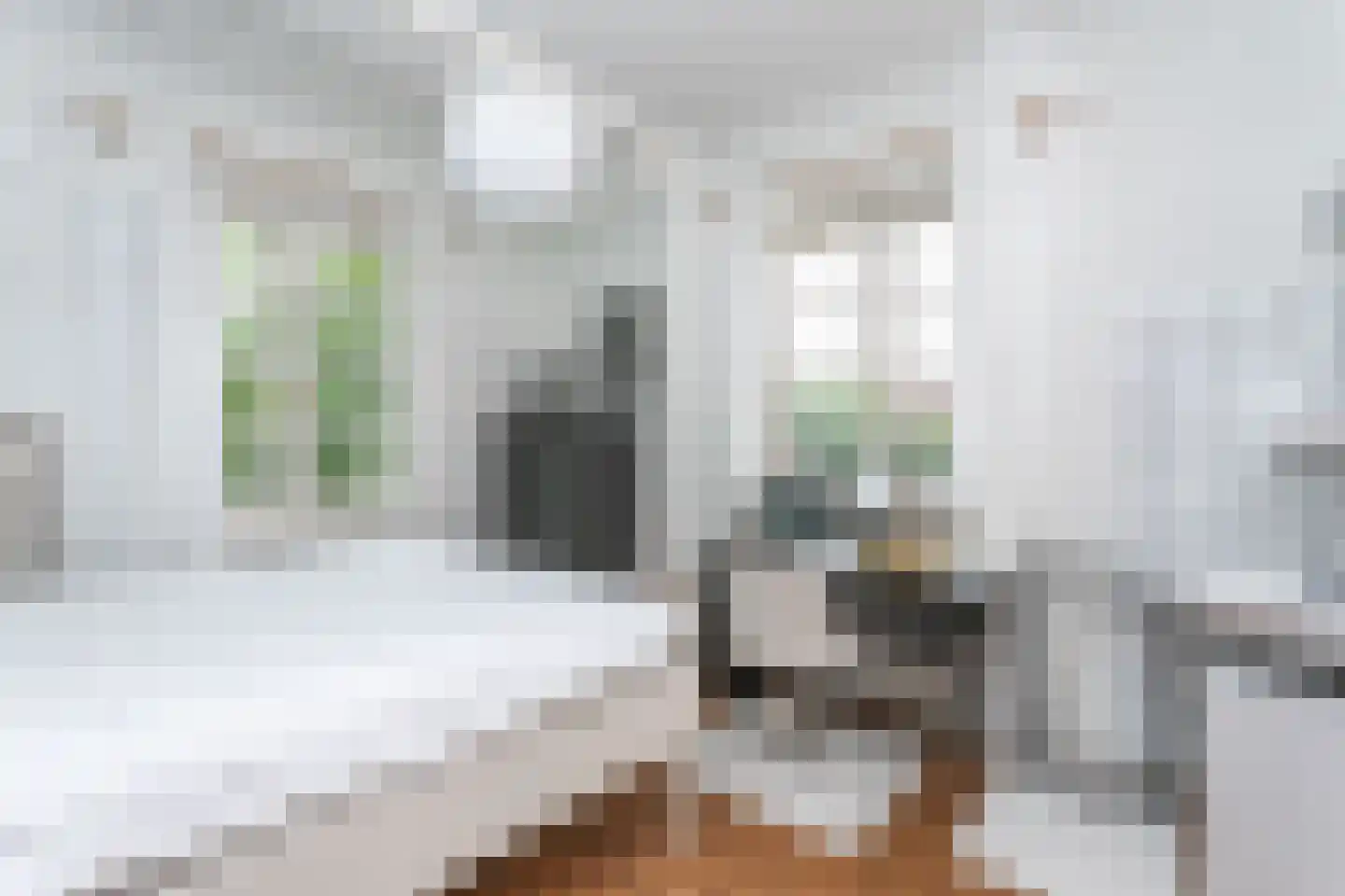 Treebeekstraat 24 Brunssum thumbnail 32