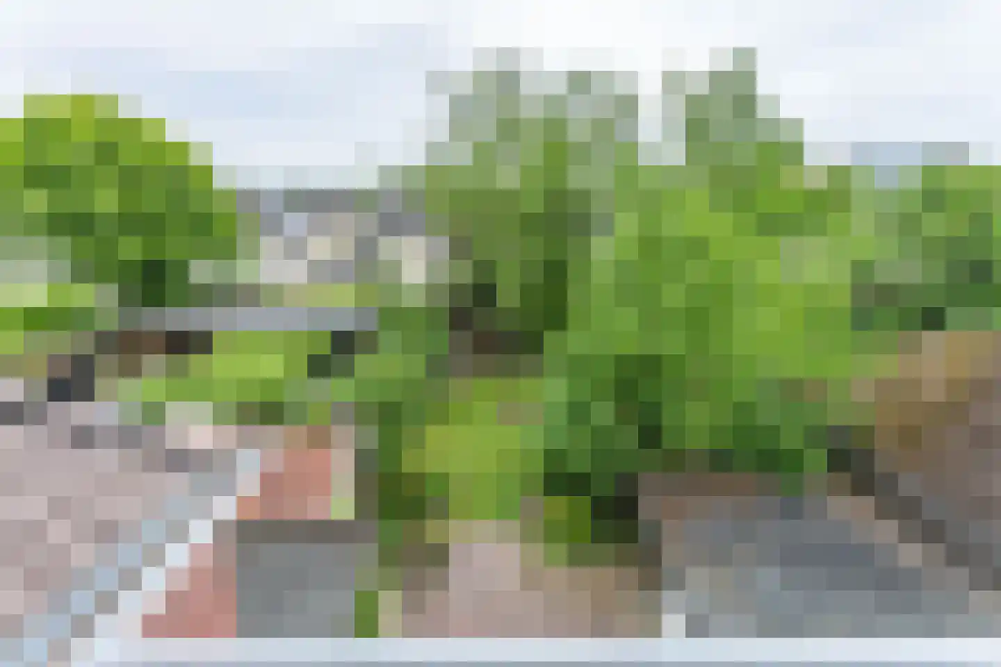 Treebeekstraat 24 Brunssum thumbnail 42